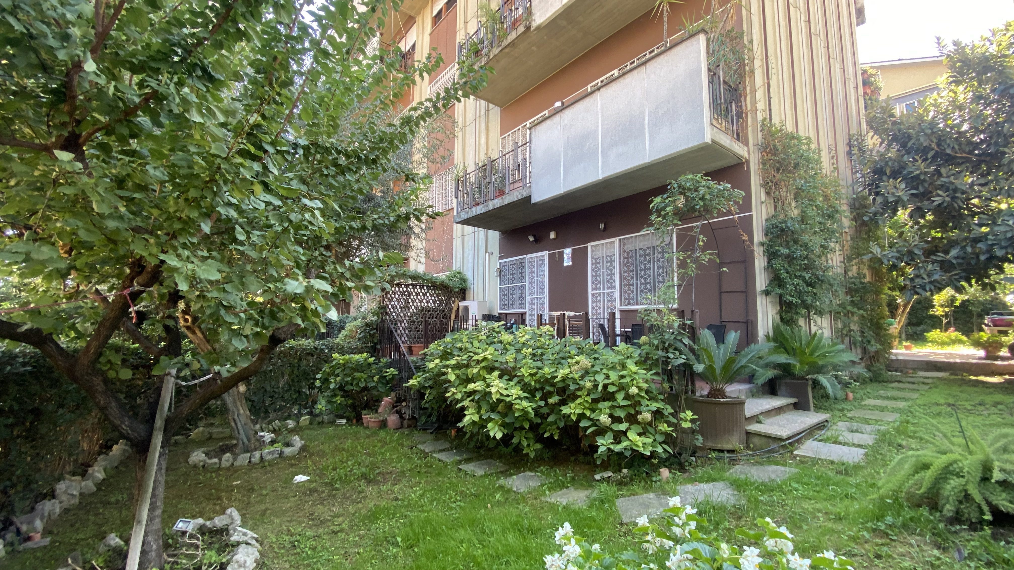 image00034